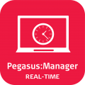 Leica PegasusManager - Real-Time
